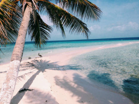 Caye Caulker - Vakantie