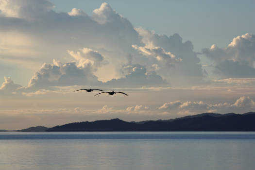 Costa Rica - droomvlucht