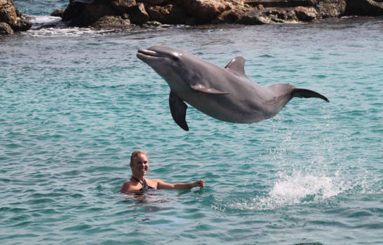 Curaçao - Enthousiasme!