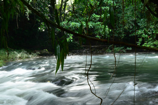 Costa Rica - River, Costa Rica