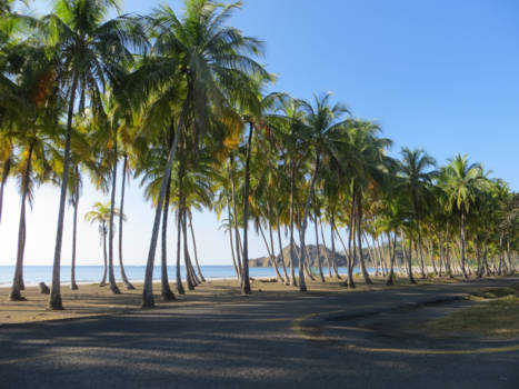 Costa Rica - Beachview Costa Rica