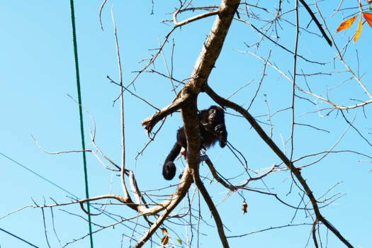 Costa Rica - Wie bent u? Costa Rica