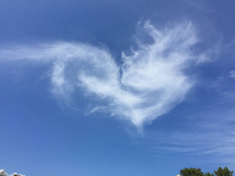 Bonaire - Heart for you 