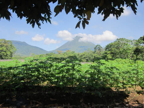 Costa Rica - Arenal vulkaan