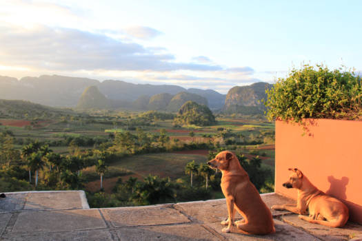 Viñales Valley - Vallei van Viñales (Cuba)