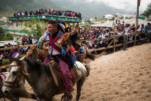 Guatemala - Drunken horse race
