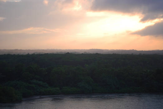 Panama - The Panamanian Bush
