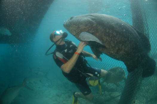Curaçao - Samen met Herbie ...
