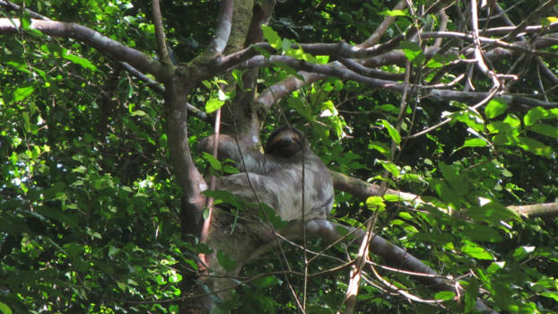 Costa Rica - Heel even uitrusten van al het avontuur!