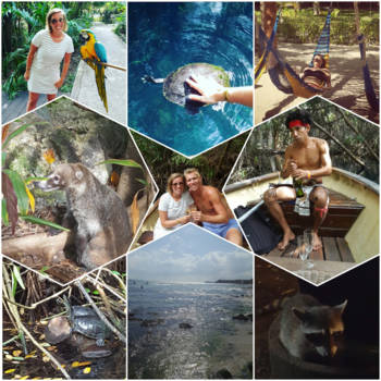 Playa del Carmen - In the Jungle of Mexico! ♡