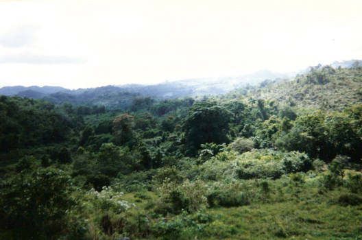 Ocho Rios - Bleu Mountain