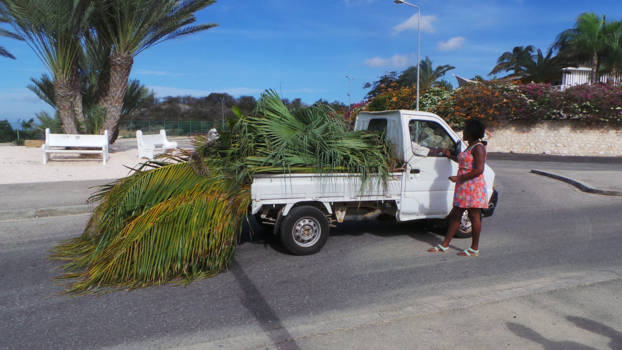 Curaçao - Jan Thiel baai 2016