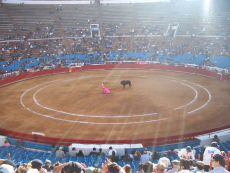 Mexico - Stieren gevecht in Mexico Stad