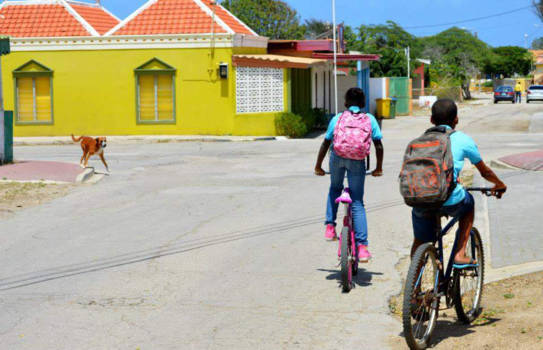 Rincon - Rincon; Zelfs het zadel is er kleurrijk!