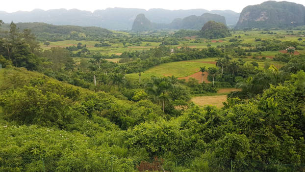 Cuba - De tabaksvelden van Viñales
