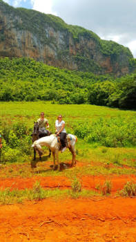 Cuba - Rijden door de tabaksvelden van Viñales