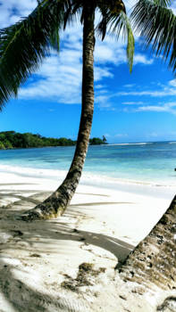 Bocas del Toro - Isla Carenero