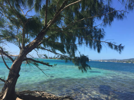 Roatán - Blauw, blauwer, blauwst