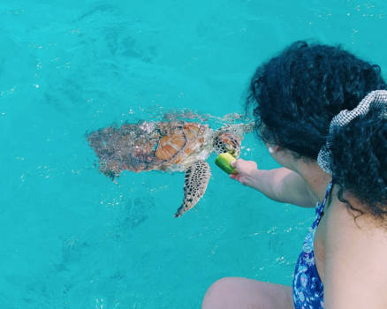Curaçao - van geluk te water lopen