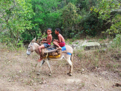 Cuba - Cubaanse jongetjes op ezel