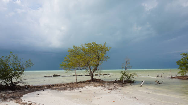 Mexico - Verschillende kleuren blauw