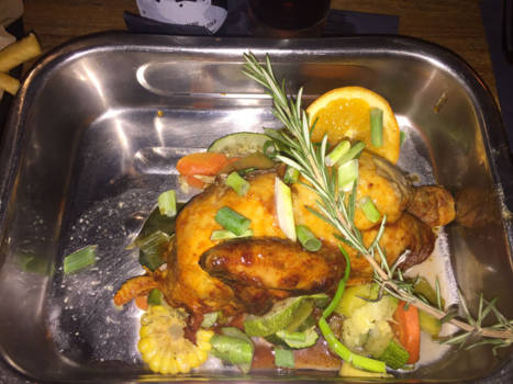 Curaçao - Kippetje bij zanzibar