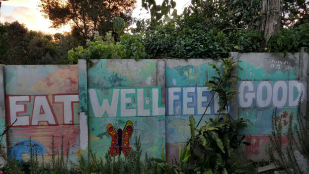 Antigua - Caoba Farm