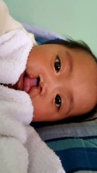 Antigua - Tess Unlimited