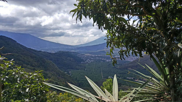 Antigua - Earth Lodge