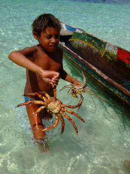 San Blas - Lunch is not a bunch of crab! Muchos Gracias!