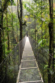 Costa Rica - Wandelen door de toppen.