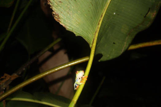 Costa Rica - La Fortuna