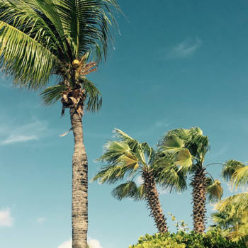 Curaçao - Beachday met een bries