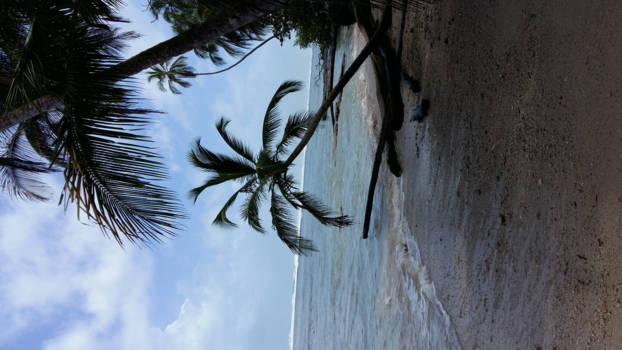 Costa Rica - Cahuita beach