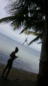 San Blas - Groot gevaar!