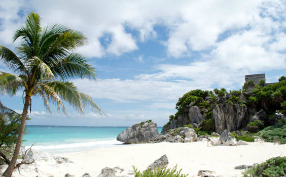 Mexico - Schilpadstrand