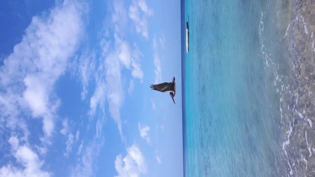 Curaçao - vliegend door vijftig tinten blauw