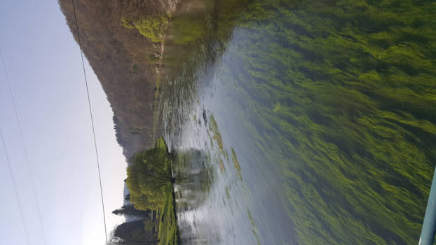 Costa Rica - Bijzonder leven onder water