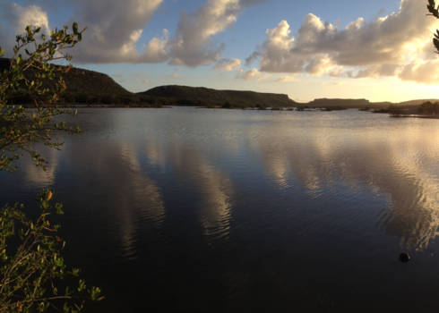 Curaçao - Flamingo area