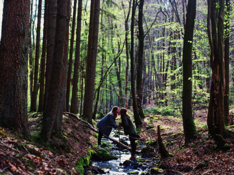 Costa Rica - Quiescence