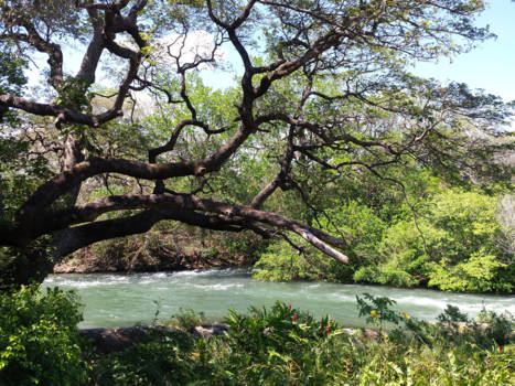 Costa Rica - Oase....