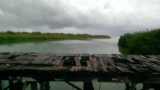 Playa del Carmen - Crocodile bridge