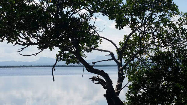 Cuba - Placeful moment in between the salsa parties