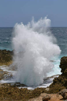 Shete Boka National Park - Spetterende reis!