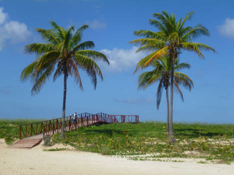 Havana - Het is zo stil in mij .......