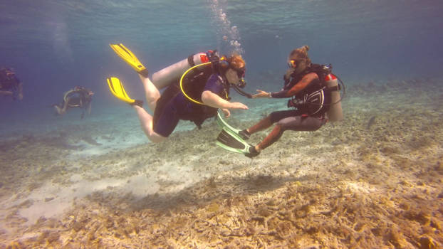 Curaçao - leren duiken