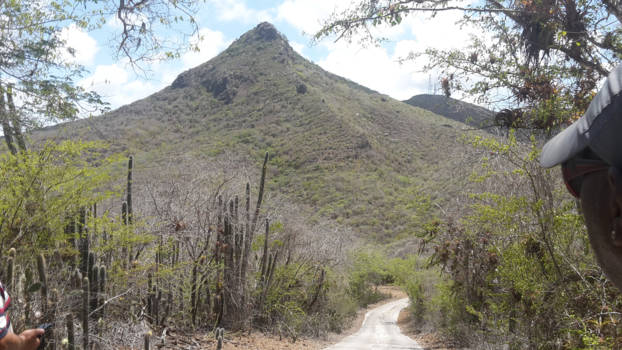 Curaçao - Christoffelberg in Christoffelpark