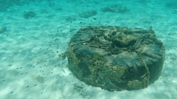 Curaçao - onderwaterwereld 2