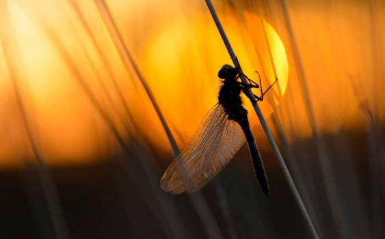 Costa Rica - In theorie morning