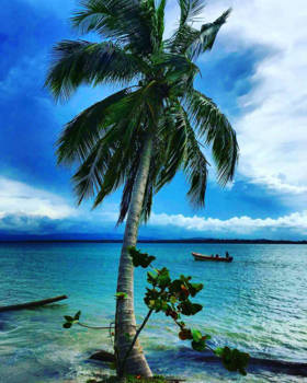 Bocas del Toro - Panama Paradise